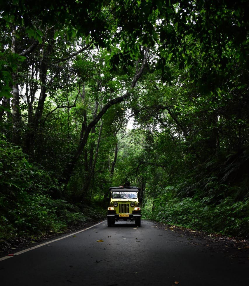 Palliyadiyil Tourism safari outing photograph