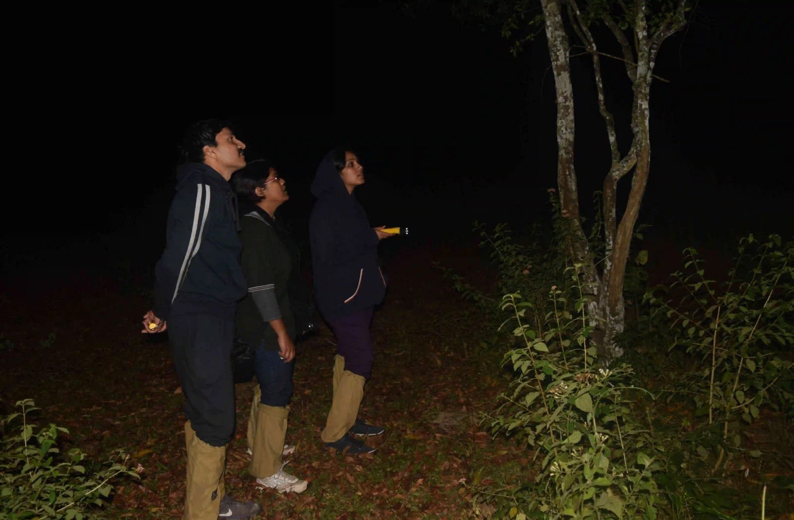 Night trekking experience