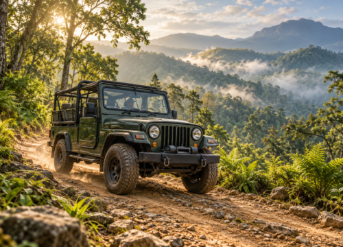 Things to Do in Thekkady Beyond a Jeep Safari