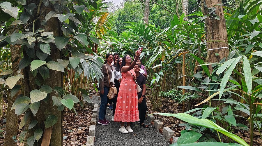 Spice garden visit in Thekkady with plantation greenery
