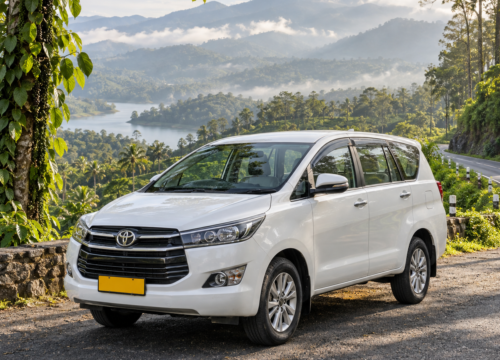 Thekkady Taxi Service: What to Check Before Booking Your Cab