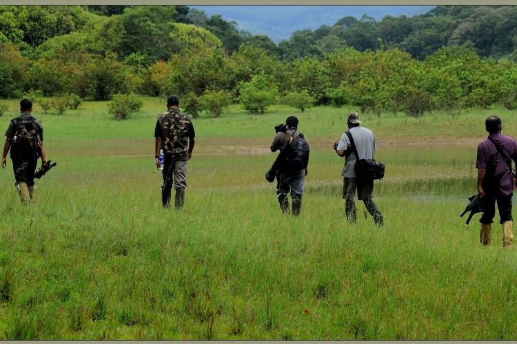 Bird Song Trail trekking programme in the Periyar region of Thekkady