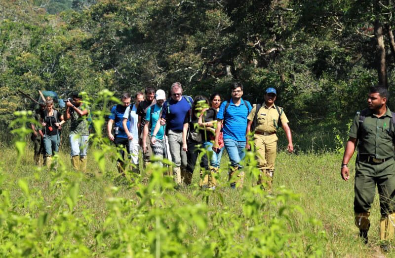 Trekking and camping experience