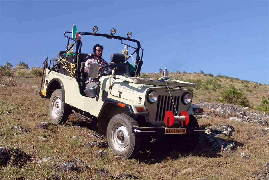 Angamoozhy Gavi jeep safari photograph from Palliyadiyil Tourism