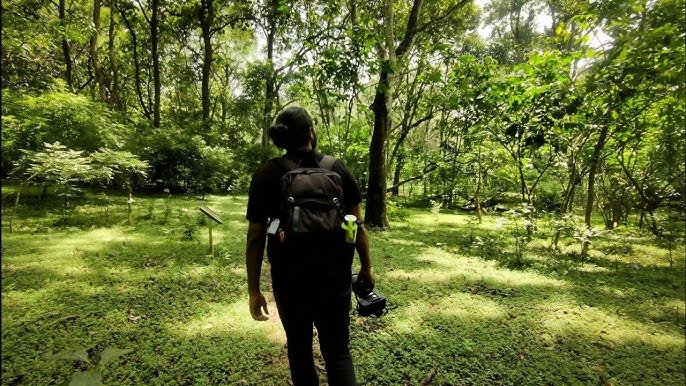 Pugmark Trail trekking programme in the Periyar region of Thekkady